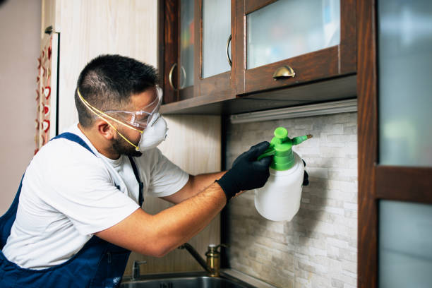 Best Affordable Pest Control Services  in Mccrory, AR