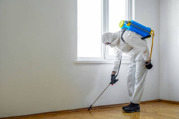 Best Pest Removal Services  in Mccrory, AR