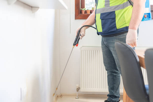 Best Emergency Pest Control  in Mccrory, AR