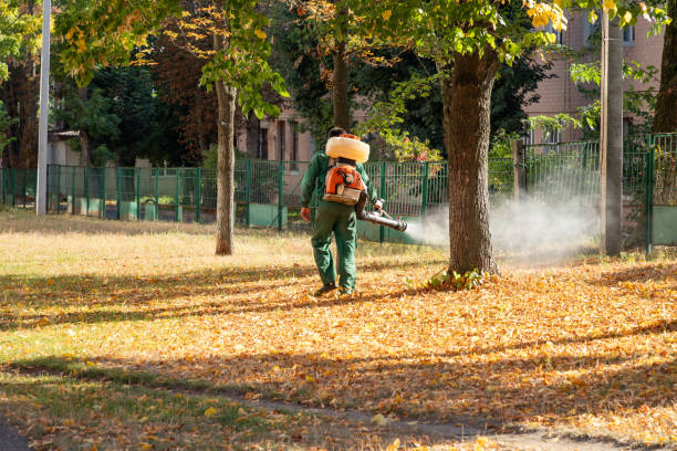 Best Mosquito Control Services  in Mccrory, AR